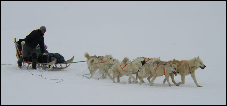 Greenland, Photo by Peter C. Simons