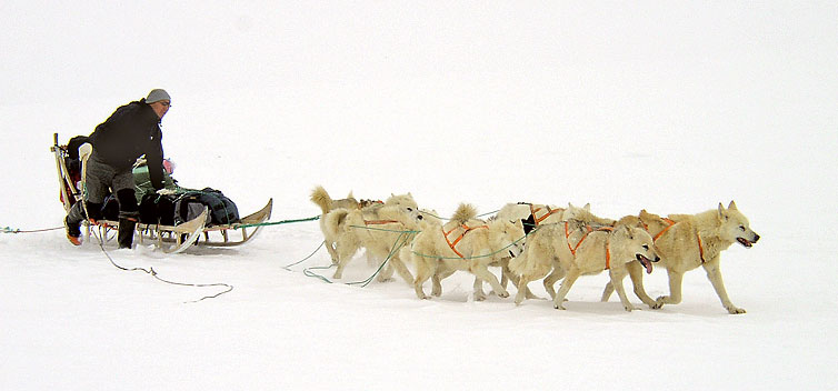 Greenland, photograph by Peter C. Simons